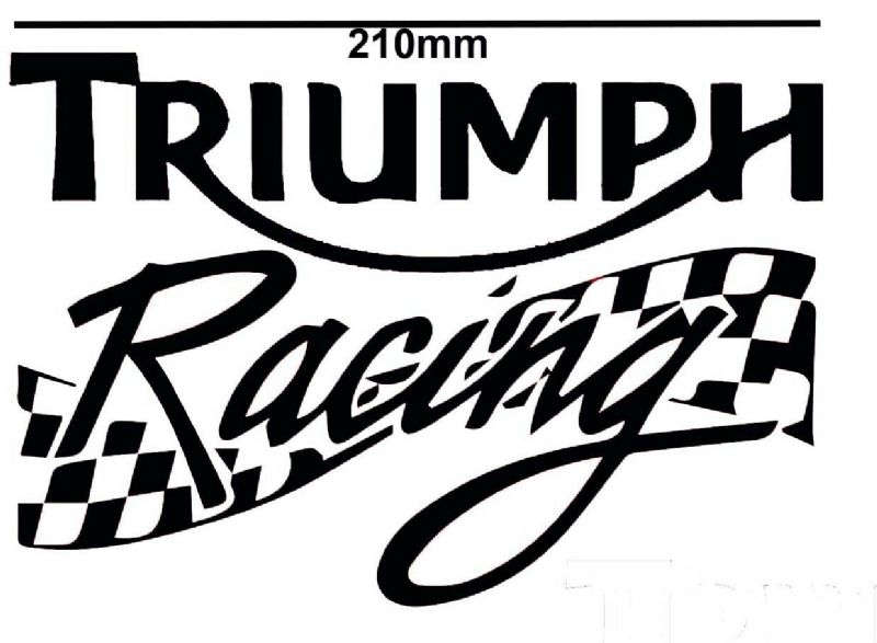 Triumph Racing Motorbike Stickers Decals Fairings Motorcycle 22 colours